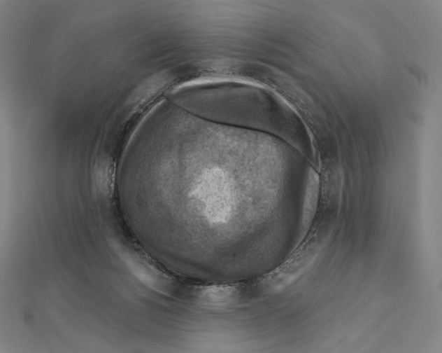 X0000112030168200908311223