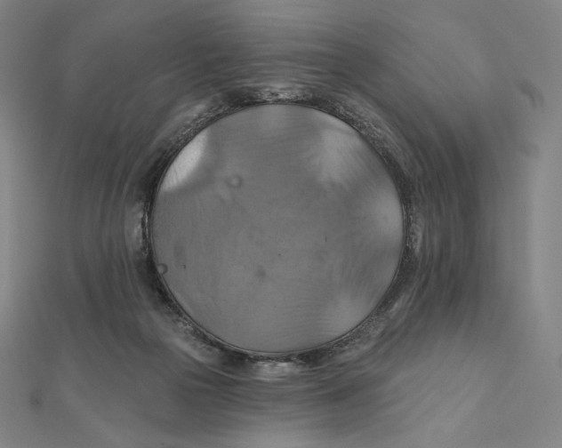 X0000112030169200908311223