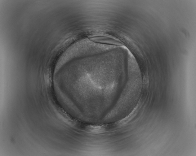 X0000112030170200908311223