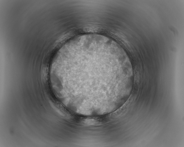X0000112030171200908311223