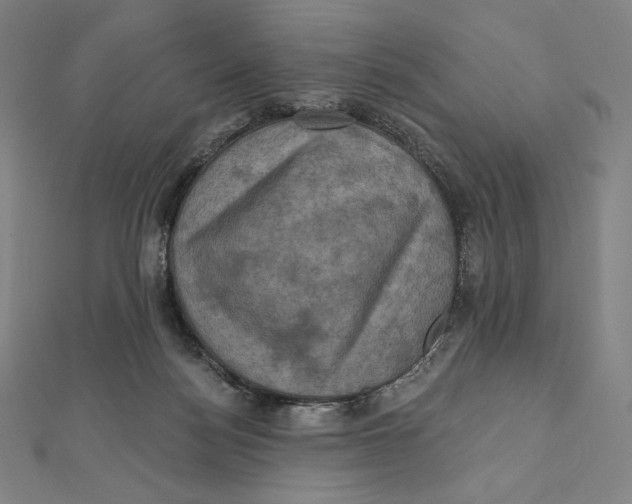 X0000112030172200908311223