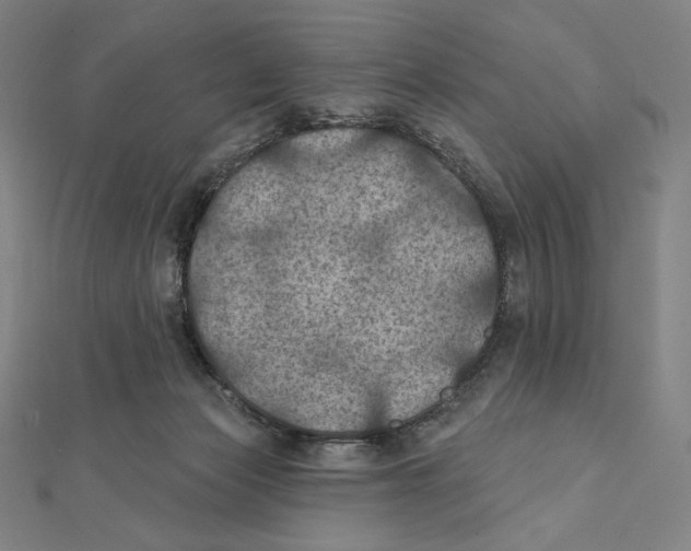 X0000112030173200908311223