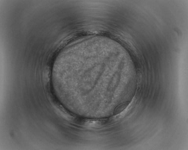 X0000112030174200908311223
