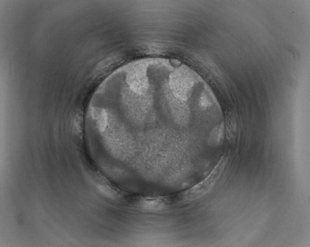 X0000112030175200908311223