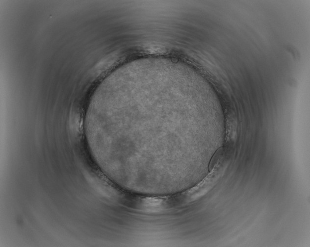 X0000112030176200908311223