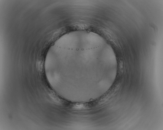 X0000112030177200908311223