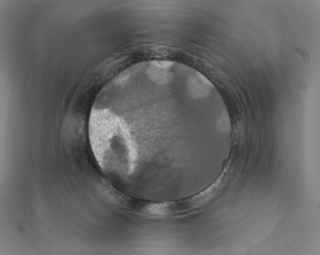 X0000112030178200908311223