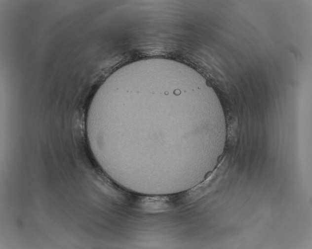 X0000112030179200908311223