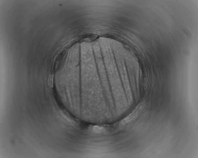 X0000112030180200908311223