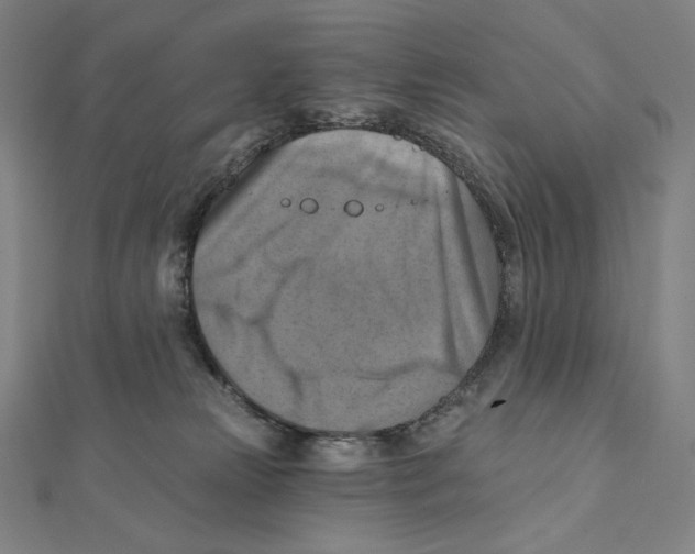 X0000112030181200908311223