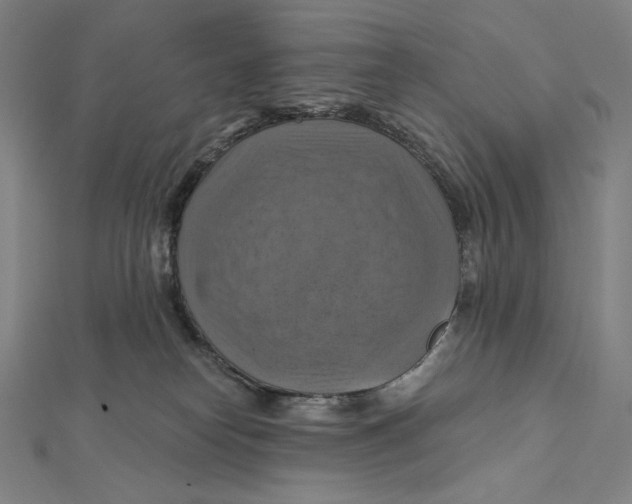 X0000112030182200908311223