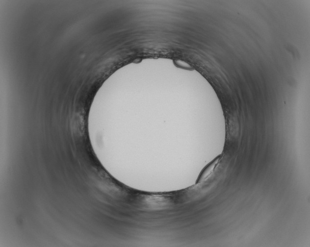 X0000112030183200908311223