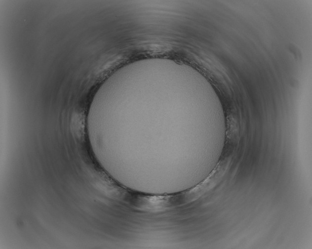 X0000112030184200908311223