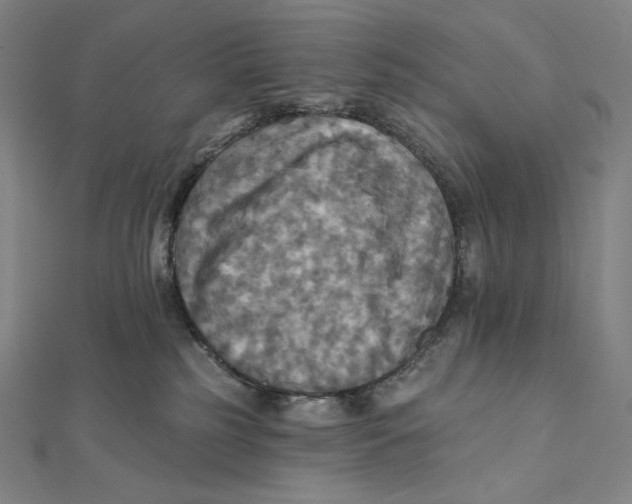 X0000112030185200908311223