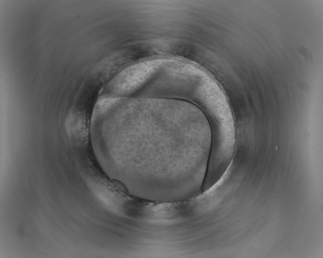 X0000112030186200908311223