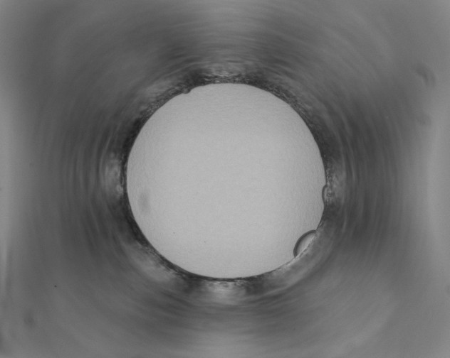 X0000112030187200908311223