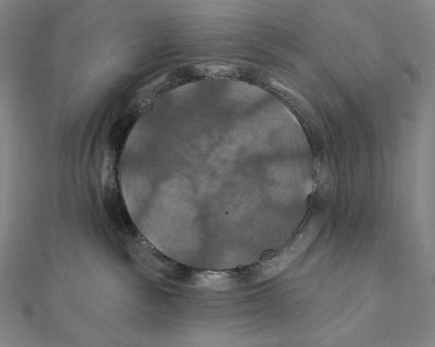 X0000112030189200908311223