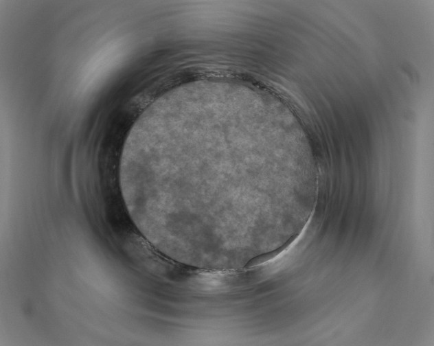 X0000112030190200908311223