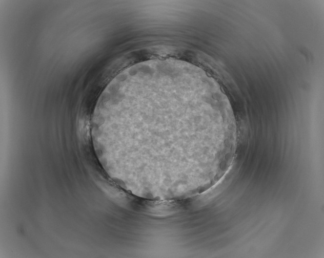 X0000112030191200908311223