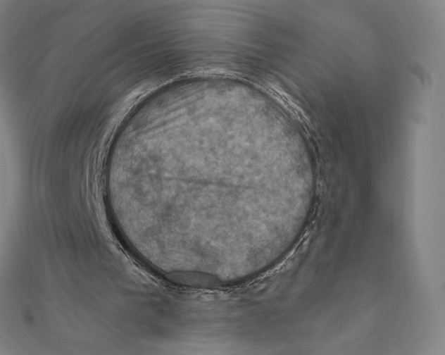 X0000112030193200908311222