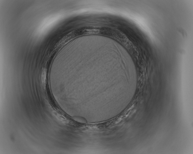X0000112030194200908311222