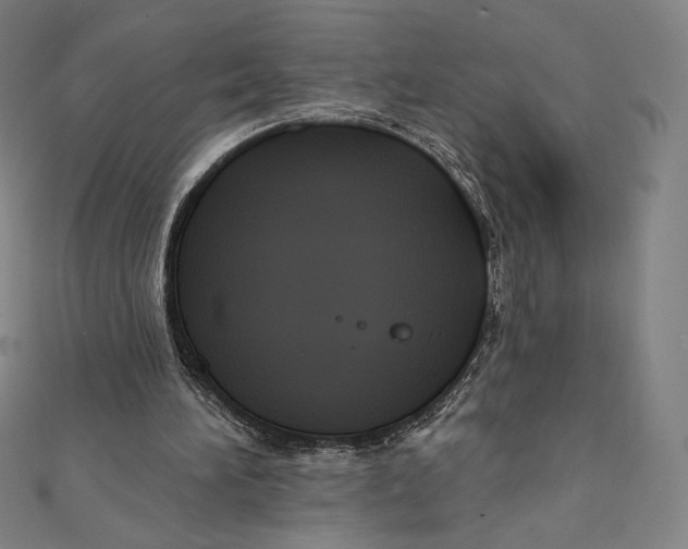 X0000112030196200908311222