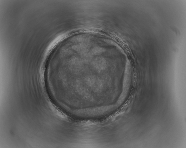 X0000112030197200908311222