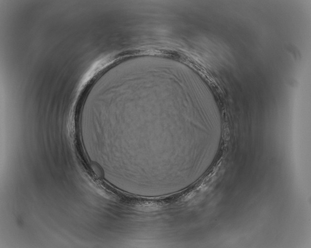 X0000112030198200908311222
