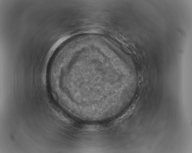 X0000112030200200908311222