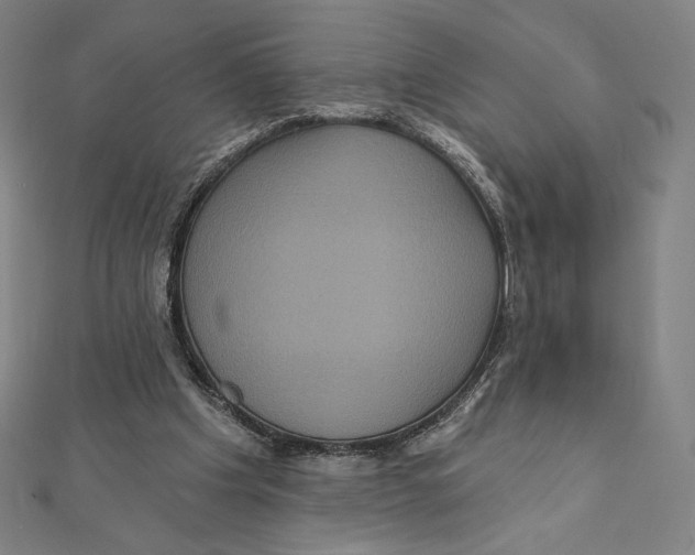 X0000112030201200908311222