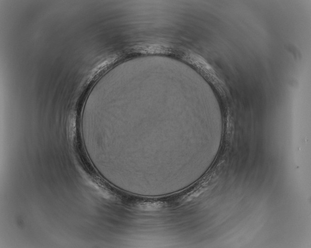 X0000112030202200908311222