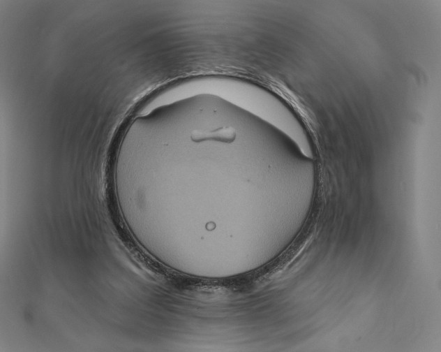 X0000112030203200908311222