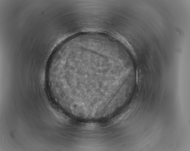 X0000112030204200908311222