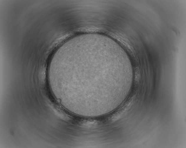 X0000112030206200908311222
