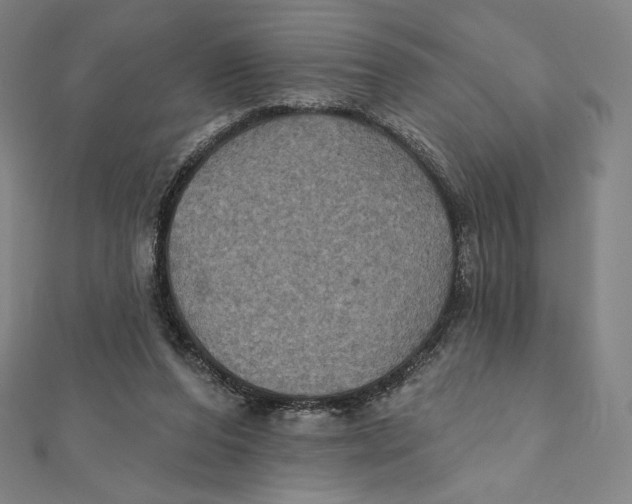 X0000112030208200908311222