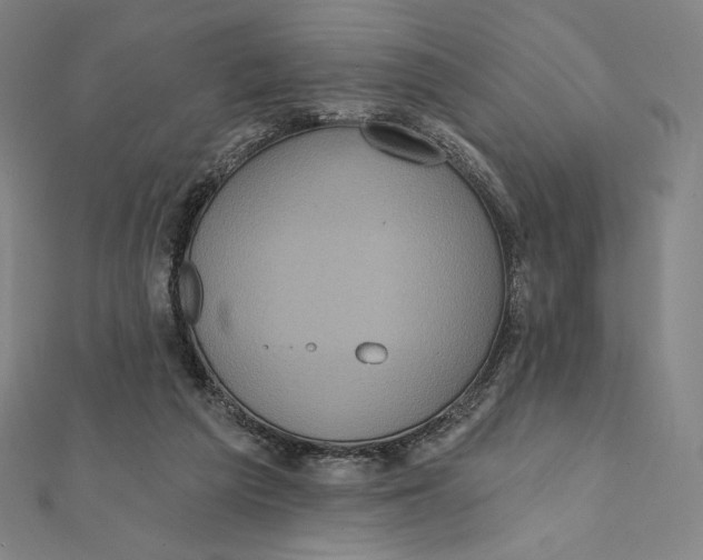 X0000112030209200908311222