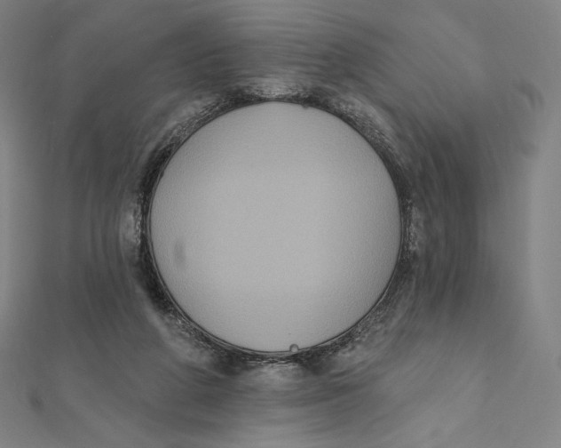 X0000112030210200908311222