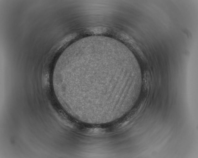 X0000112030212200908311222