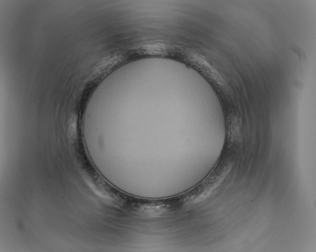 X0000112030213200908311222