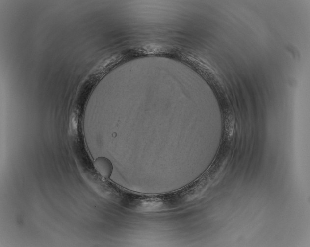 X0000112030214200908311222