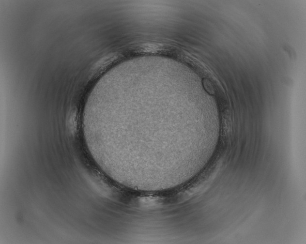 X0000112030216200908311222