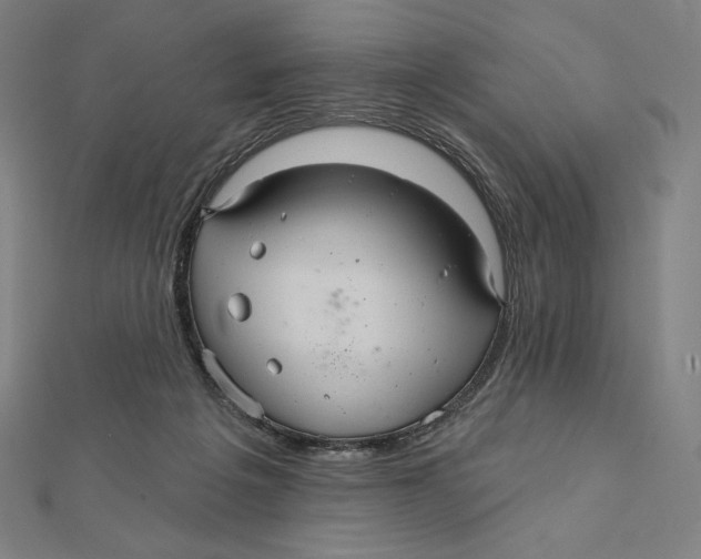 X0000112030217200908311222