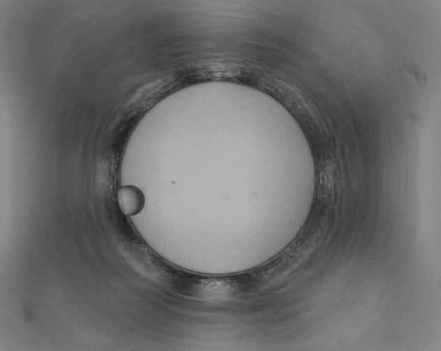 X0000112030218200908311222