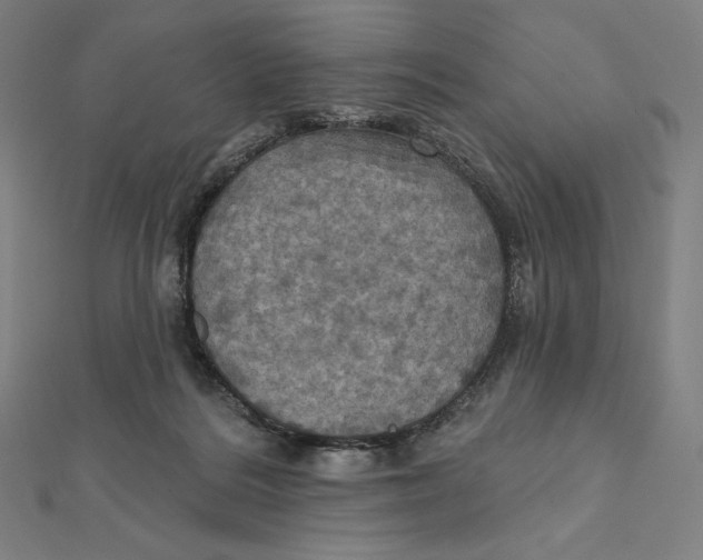 X0000112030220200908311222