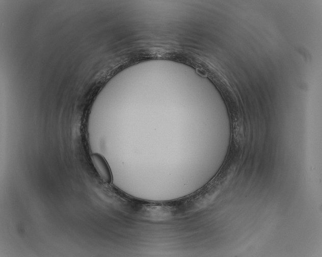 X0000112030221200908311222