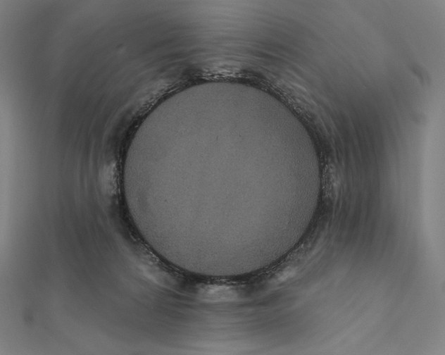X0000112030224200908311222