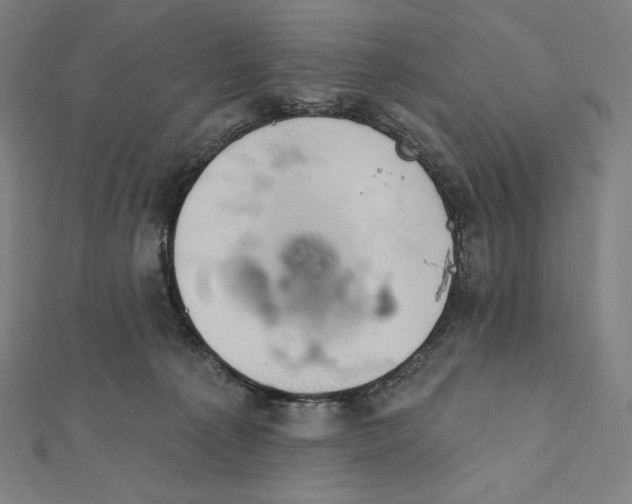 X0000112030225200908311222