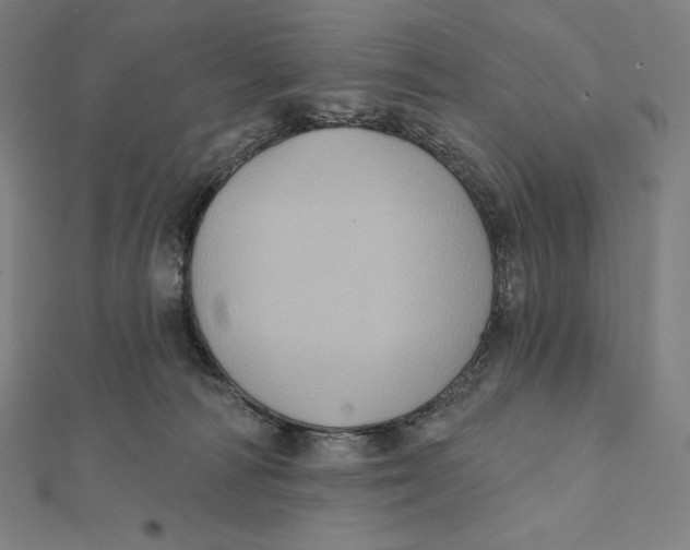 X0000112030226200908311222