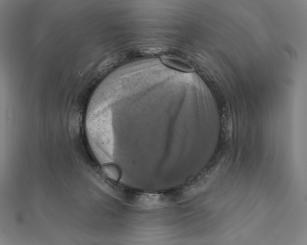 X0000112030227200908311222