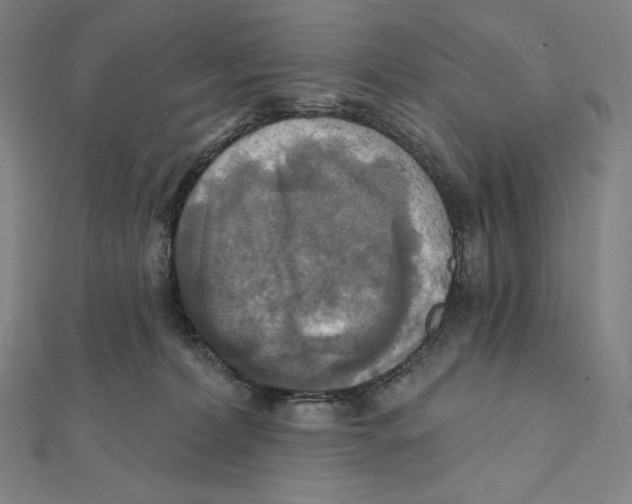 X0000112030228200908311222